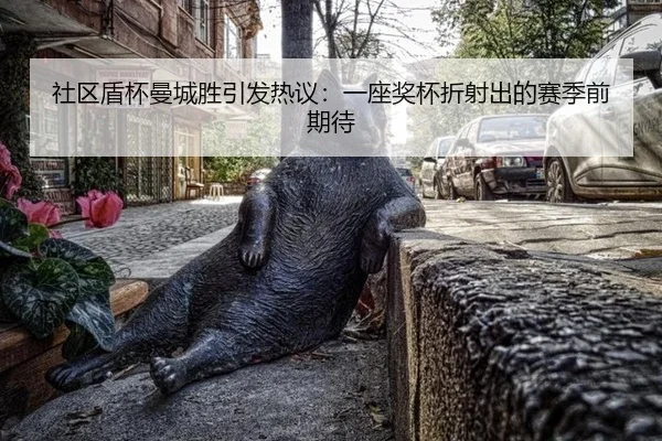 she-qu-dun-bei-man-cheng-sheng-yin-fa-re-yi-yi-zuo-jiang-bei-zhe-she-chu-de-sai-ji-qian-qi-dai-2-327.jpg